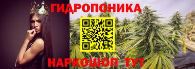 прущие грибы Гай