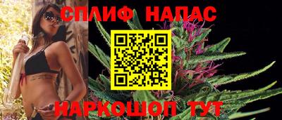спиды Гатчина