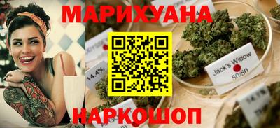 спиды Гатчина