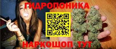 прущие грибы Гай