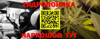 спиды Гатчина