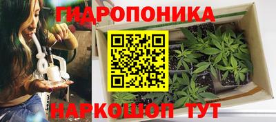 стафф Гагарин