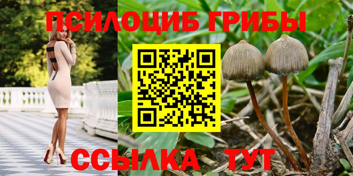 Псилоцибиновые грибы мицелий Октябрьский
