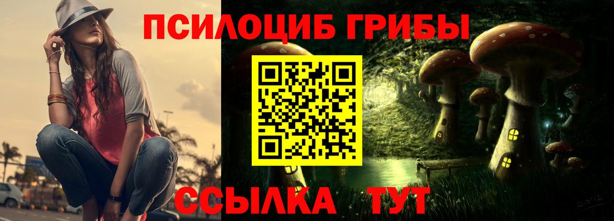 Галлюциногенные грибы Cubensis Октябрьский